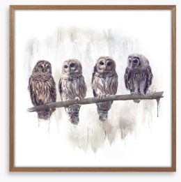 Owl rendez-vous Framed Art Print 207477025