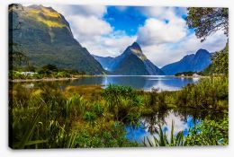 New Zealand Stretched Canvas 207643549