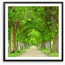 Green tree tunnel Framed Art Print 208145174