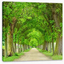 Trees Stretched Canvas 208145174