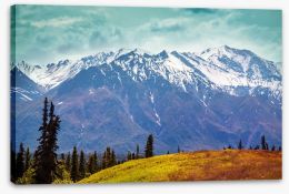 Mountains Stretched Canvas 210663993