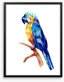 Tropical parrot perch Framed Art Print 211432135