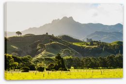New Zealand Stretched Canvas 213113230