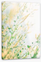 Spring Stretched Canvas 213523360