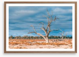 Outback Framed Art Print 216058482