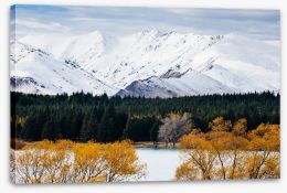New Zealand Stretched Canvas 216082863