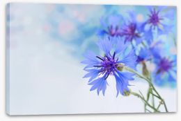 Flowers Stretched Canvas 216780117
