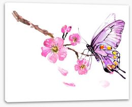 Butterflies Stretched Canvas 216841165