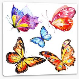 Butterflies Stretched Canvas 217876282