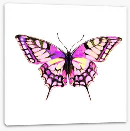 Butterflies Stretched Canvas 217876388