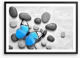 Blue butterfly stones Framed Art Print 219163495