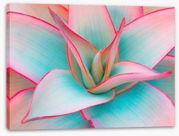 Edge of beauty Stretched Canvas 219240241