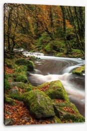 Rivers Stretched Canvas 219637826