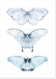 Butterflies Art Print 221467554