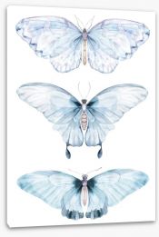 Butterflies Stretched Canvas 221467554