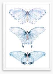 Butterflies Framed Art Print 221467554