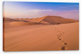 Desert Stretched Canvas 221846938