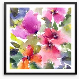 Blushing blooms Framed Art Print 222010037