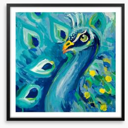 Proud as a peacock Framed Art Print 222460102