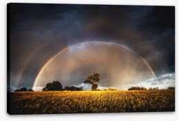 Rainbows Stretched Canvas 224577460