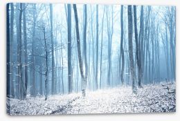Forests Stretched Canvas 224601038
