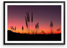 Pampas grass sunset Framed Art Print 224733091
