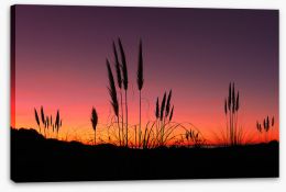 Sunsets / Rises Stretched Canvas 224733091