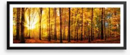 Fall forest panorama Framed Art Print 224920403