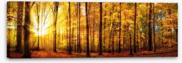 Forests Stretched Canvas 224920403