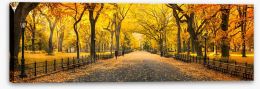 Autumn Stretched Canvas 225310262