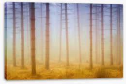 Forests Stretched Canvas 226533174