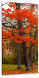 Autumn Stretched Canvas 227277280
