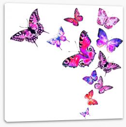 Butterflies Stretched Canvas 228036380