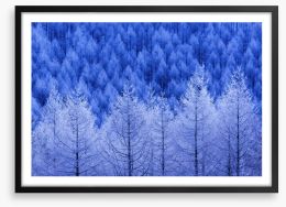 Frostbitten forest Framed Art Print 228236363