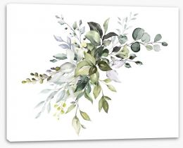 Soft Eucalypt Stretched Canvas 230778378