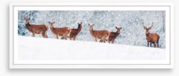 Winter deer panorama Framed Art Print 232913139