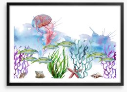 Seaweed shoal Framed Art Print 233105905