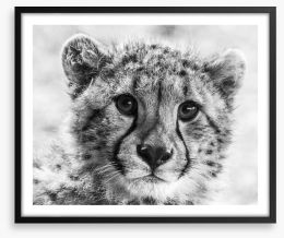 Little cheetah Framed Art Print 233188177