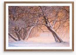 Winter Framed Art Print 233256381