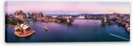 Sydney Stretched Canvas 233347614