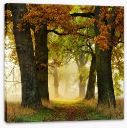 Trees Stretched Canvas 234287314
