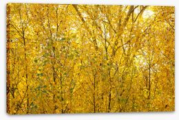 Autumn Stretched Canvas 235400910