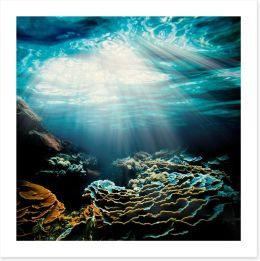 Underwater Art Print 235633574