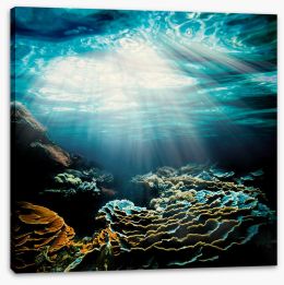 Underwater Stretched Canvas 235633574