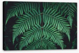 Leaves Stretched Canvas 235904875