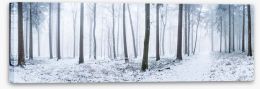 Forests Stretched Canvas 235909243