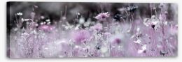 Meadows Stretched Canvas 236094922