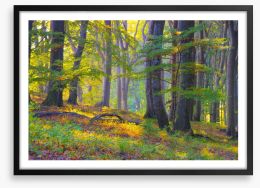 Forests Framed Art Print 238434635