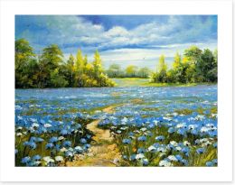 Blossoming cornflowers Art Print 23864267