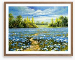 Blossoming cornflowers Framed Art Print 23864267